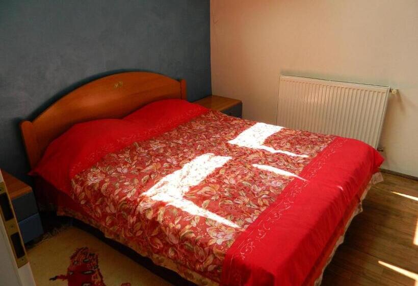 پانسیون Cazare Vio