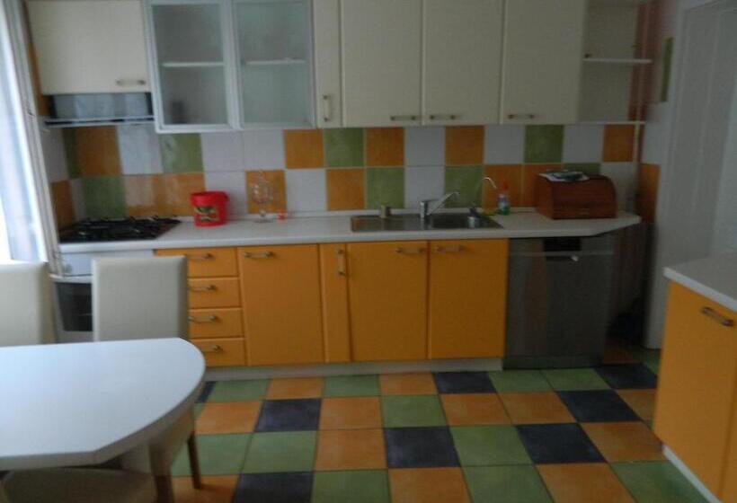 پانسیون Cazare Vio