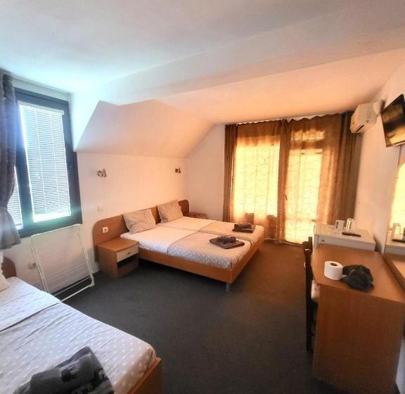 بنسيون Globus Kiten