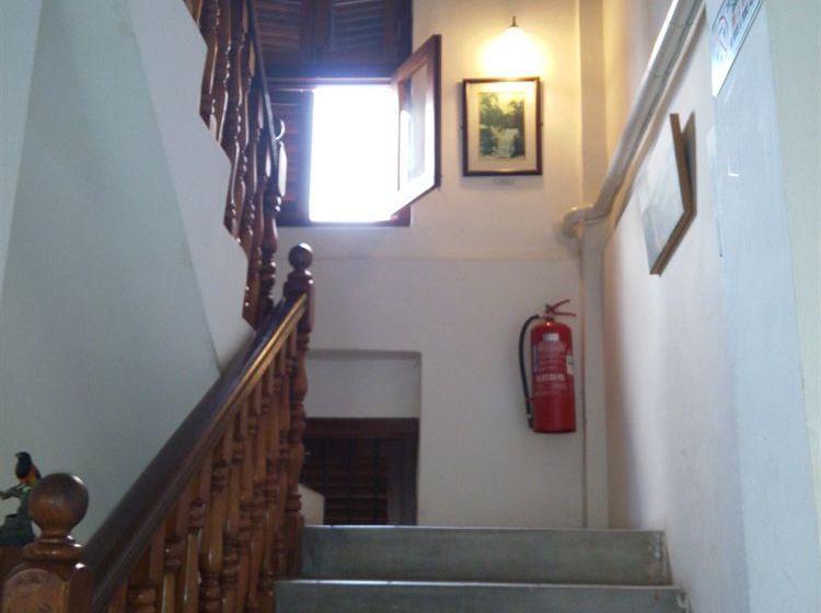 הוסטל Hutton Suites