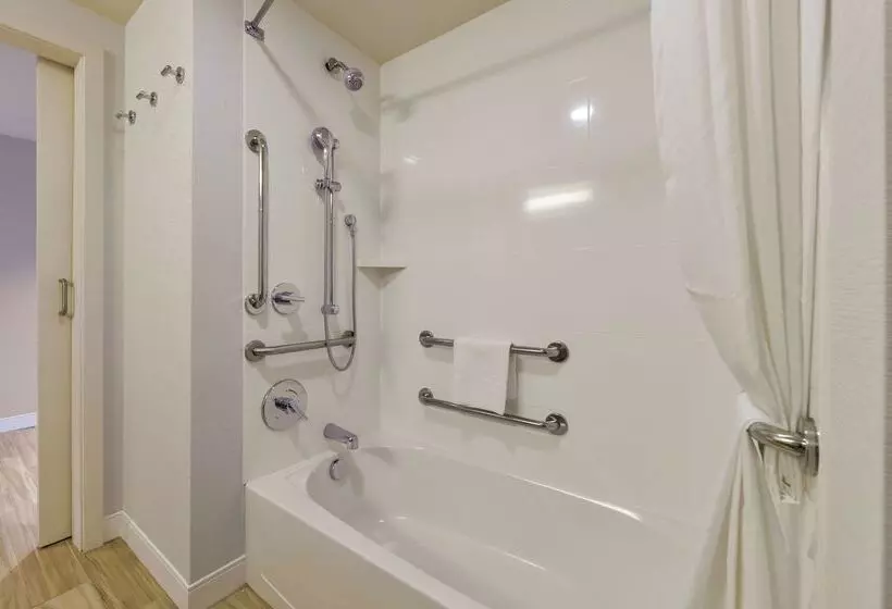 ホテル Hampton Inn & Suites Seattle/redmond