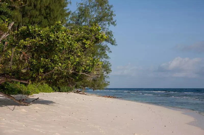 هتل Le Relax Luxury Lodge
