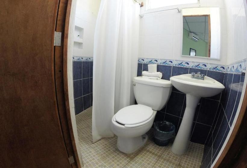 فندق Puerto Piedra