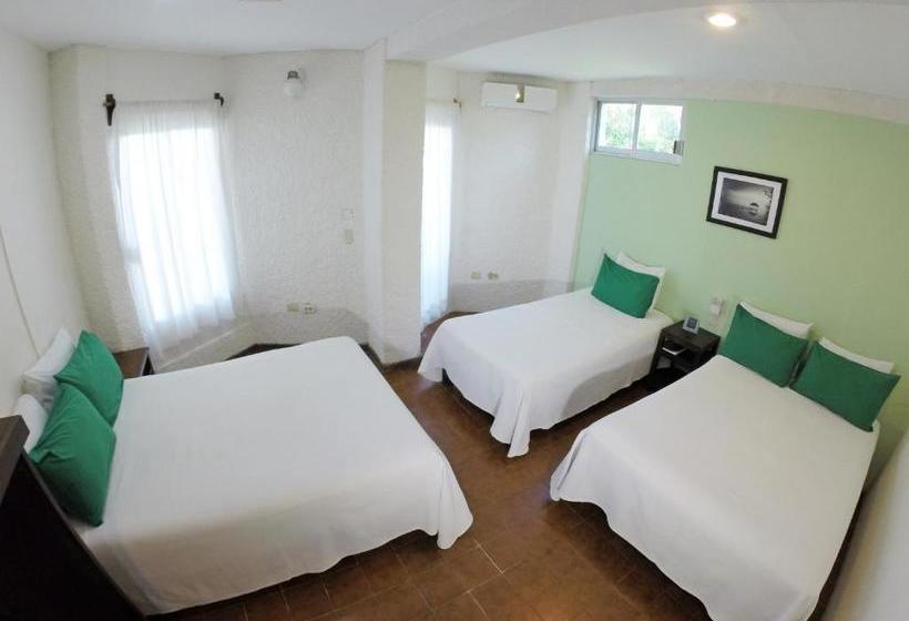 فندق Puerto Piedra