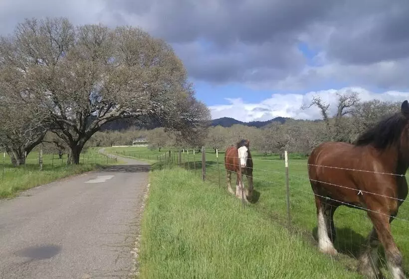 田舎風ホテル Beltane Ranch