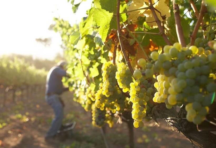 乡村酒店  Beltane Ranch