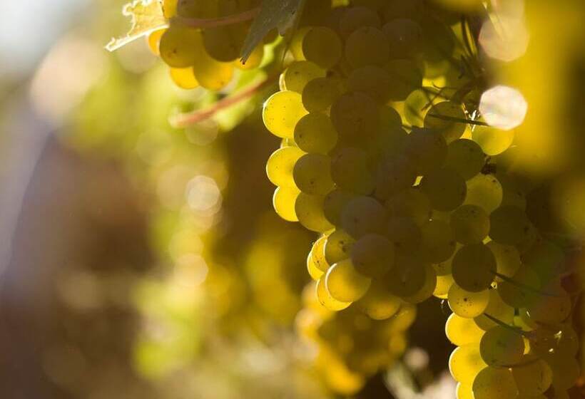 乡村酒店  Beltane Ranch