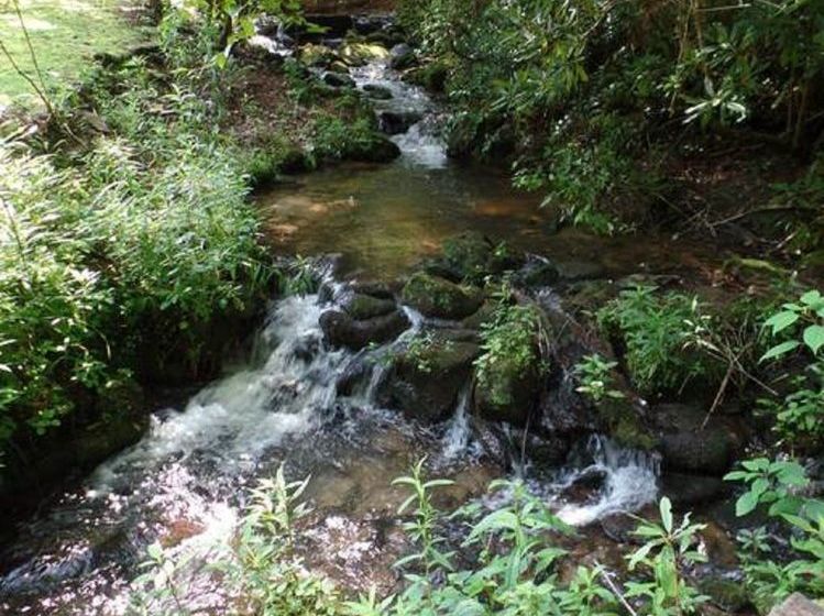 Creekside Paradise Bed And Breakfast