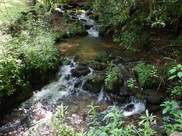 Creekside Paradise Bed And Breakfast