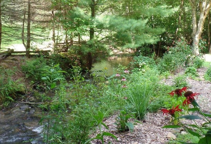 Creekside Paradise Bed And Breakfast