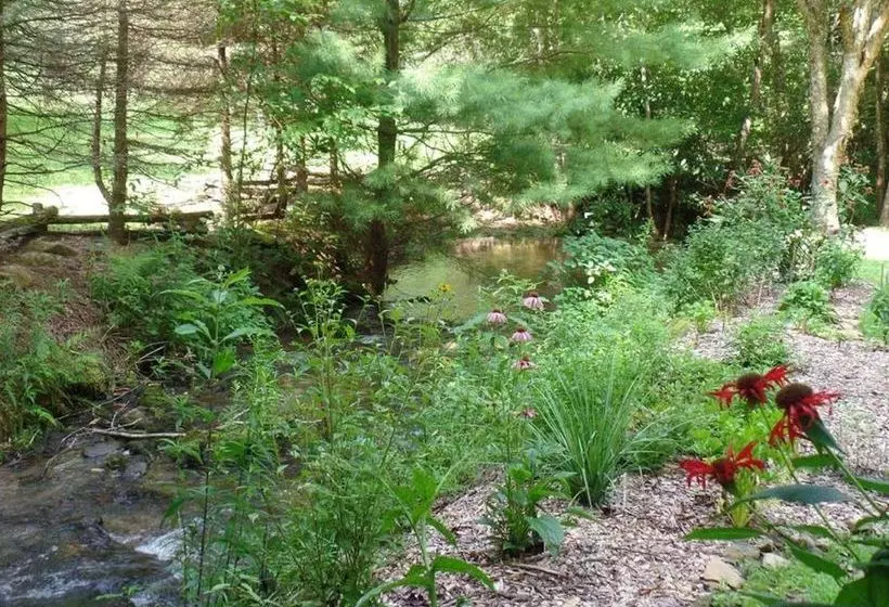 Creekside Paradise Bed And Breakfast