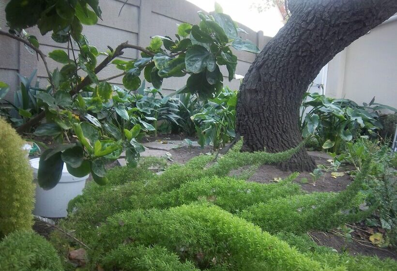 Bed and Breakfast Franchise Guest House