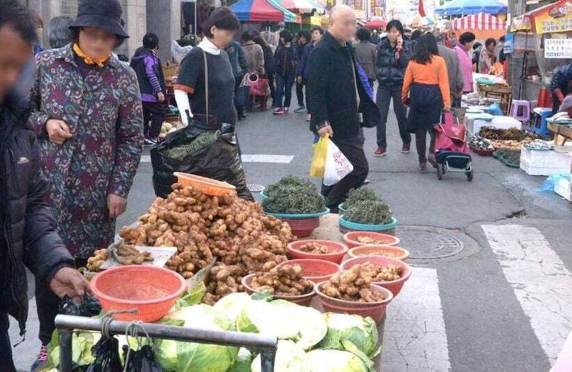 Hotel Apple House Mini