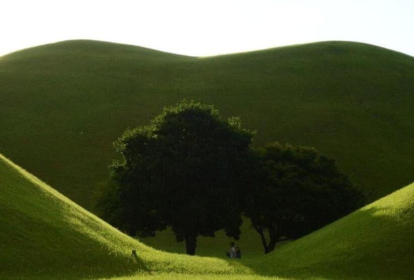 Hotel Apple House Mini