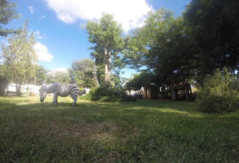 هتل Golden Days Lodge