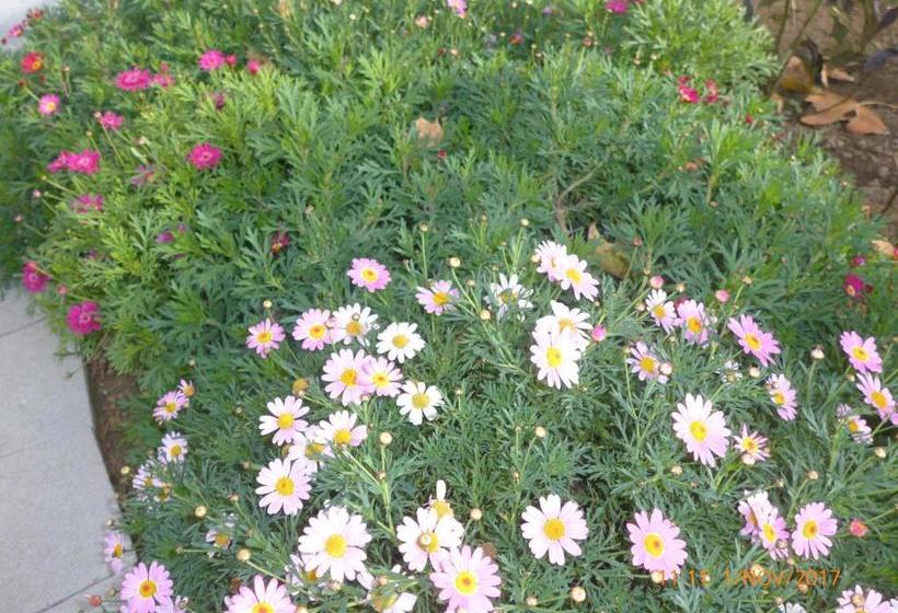 Hotell Kolpinghaus Spittal