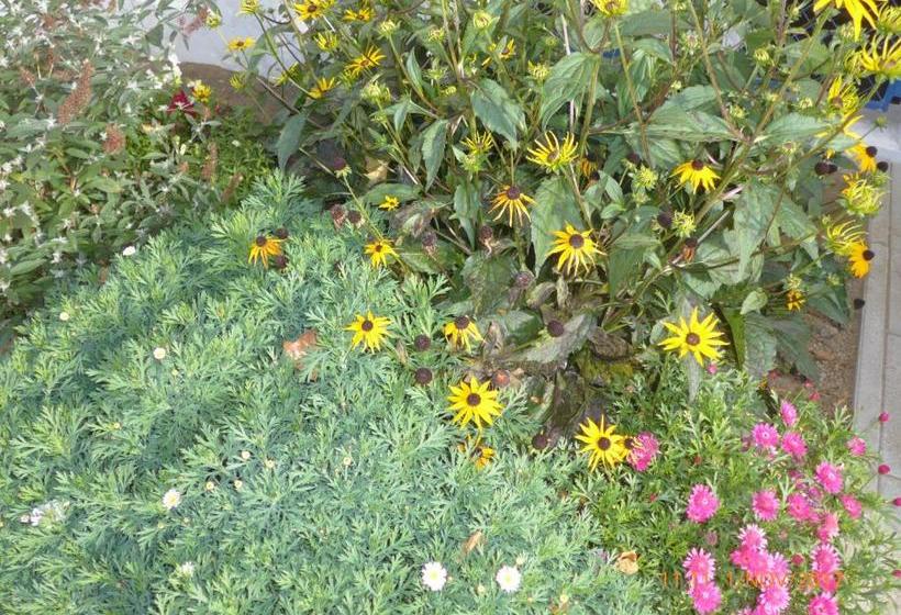 Hotell Kolpinghaus Spittal