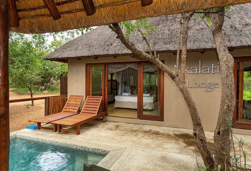 בית מלון כפרי Raptors Lodge