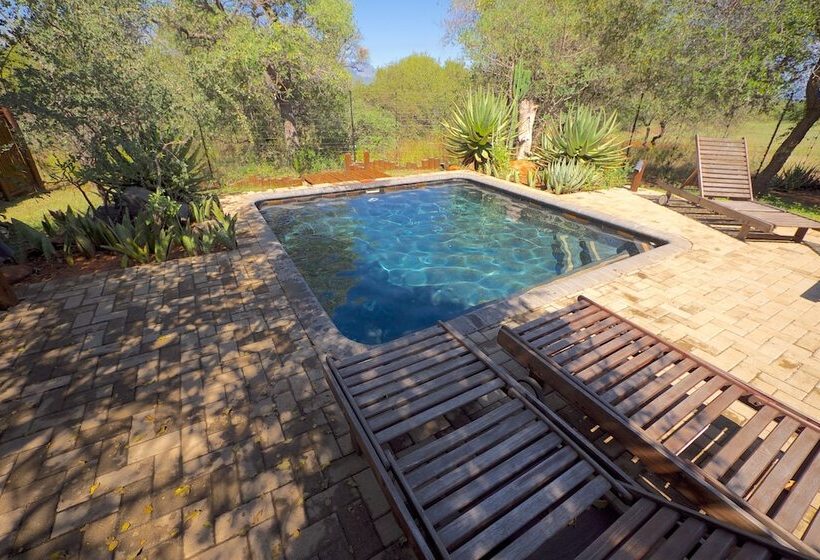 בית מלון כפרי Raptors Lodge