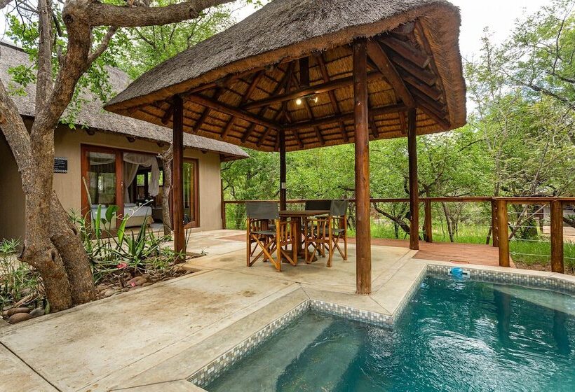 בית מלון כפרי Raptors Lodge