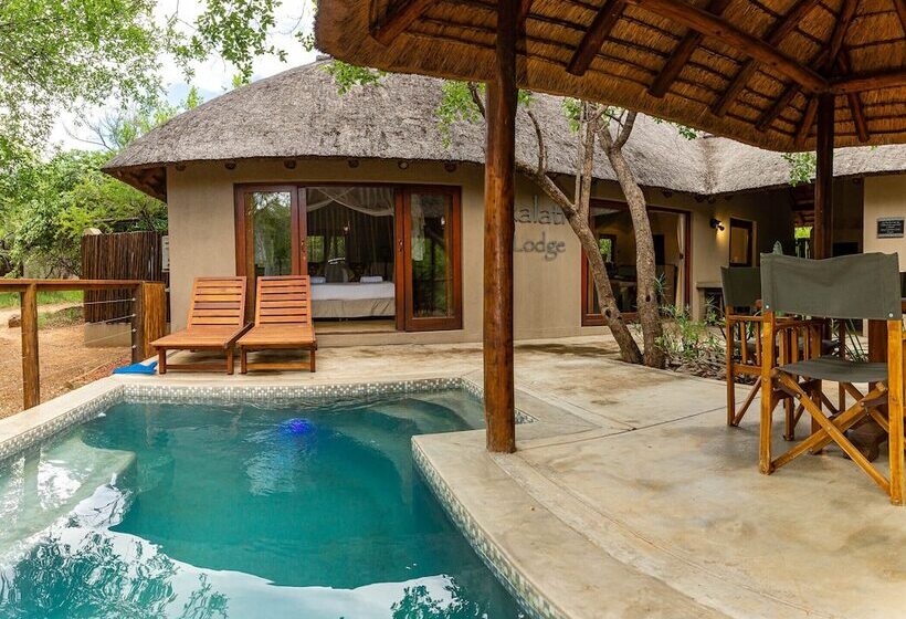 בית מלון כפרי Raptors Lodge