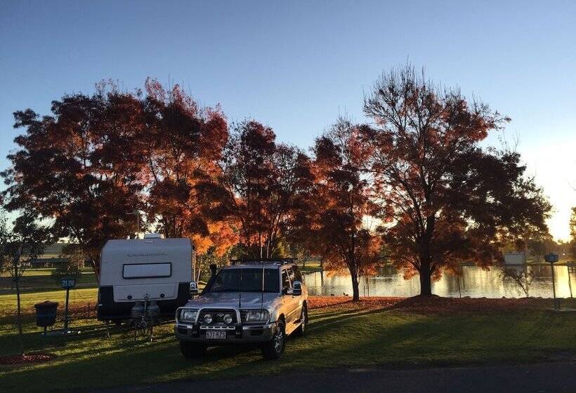 Junee Tourist Park