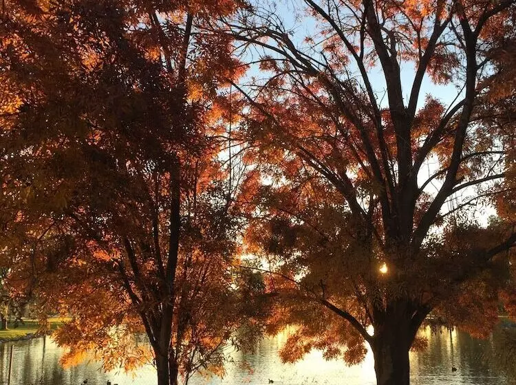 Junee Tourist Park