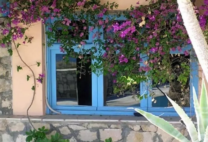 Nicolas Apartments