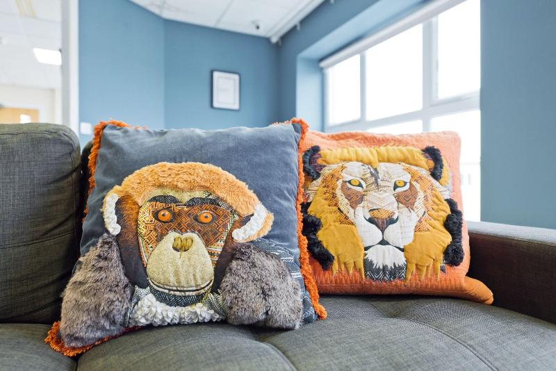 旅馆 Canbe Garden Lane Backpackers