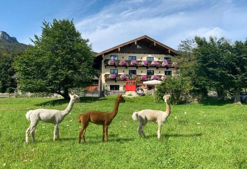 住宿加早餐 Das Franzl Bett & Brot