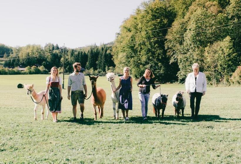 住宿加早餐 Das Franzl Bett & Brot