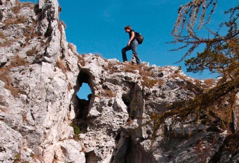 住宿加早餐 Das Franzl Bett & Brot