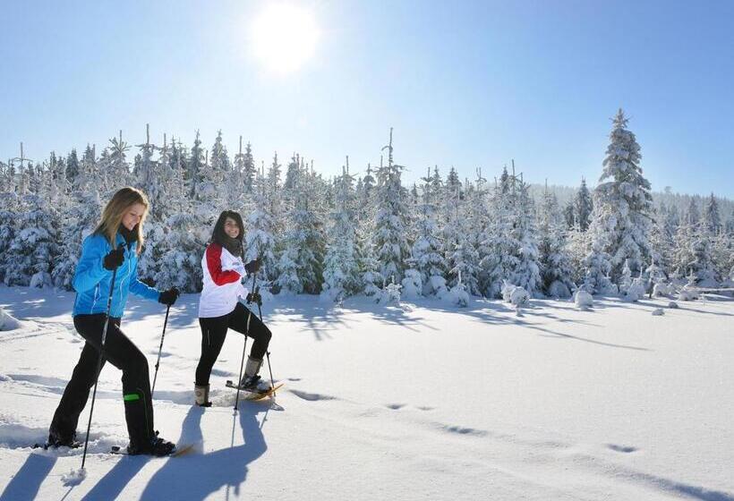 住宿加早餐 Das Franzl Bett & Brot