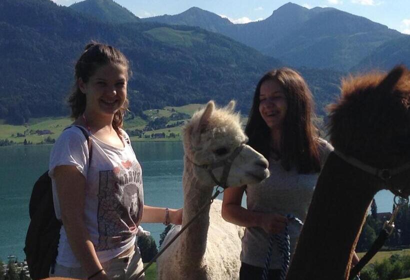 住宿加早餐 Das Franzl Bett & Brot