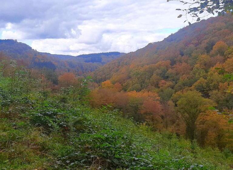 تختخواب و صبحانه Golden Lion