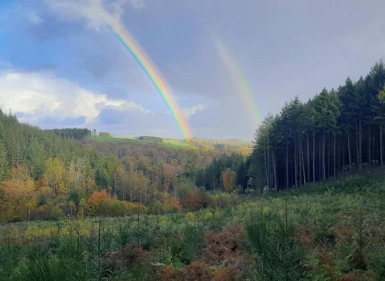 تختخواب و صبحانه Golden Lion