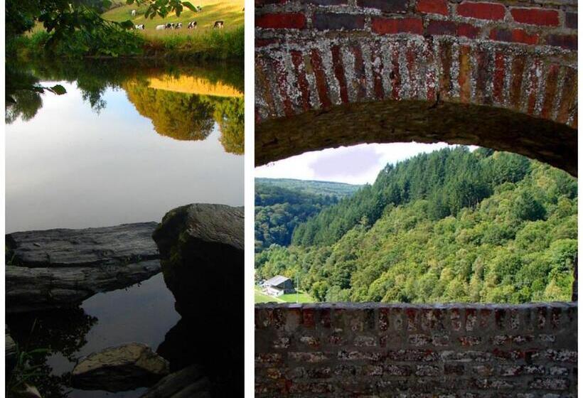 تختخواب و صبحانه Golden Lion