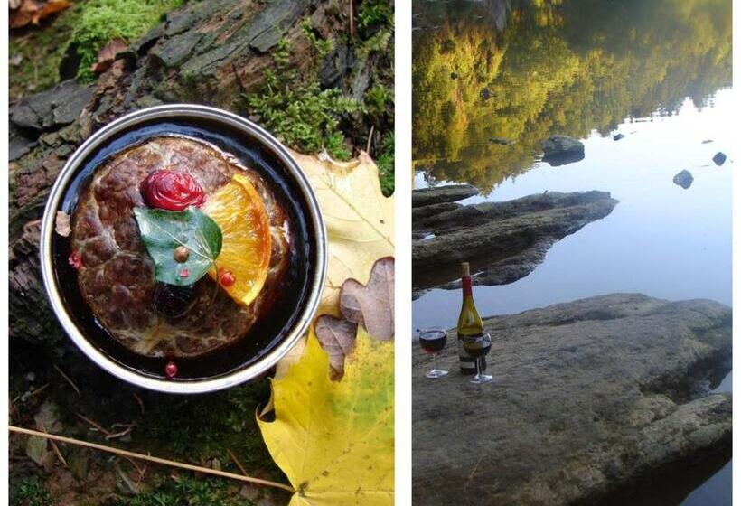 تختخواب و صبحانه Golden Lion