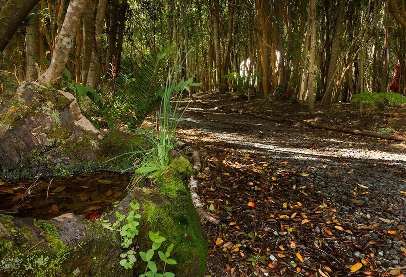 هتل Cabanas Ensenada Bosque Nativo