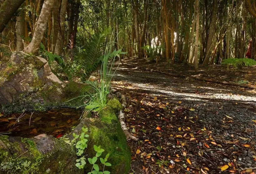 ホテル Cabanas Ensenada Bosque Nativo