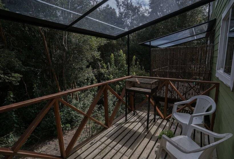 هتل Cabanas Ensenada Bosque Nativo