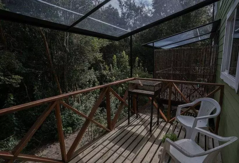ホテル Cabanas Ensenada Bosque Nativo