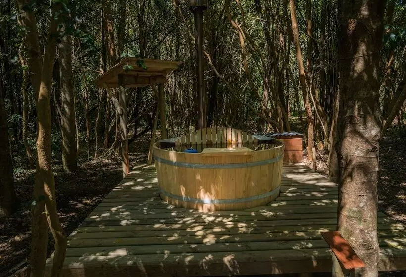 ホテル Cabanas Ensenada Bosque Nativo