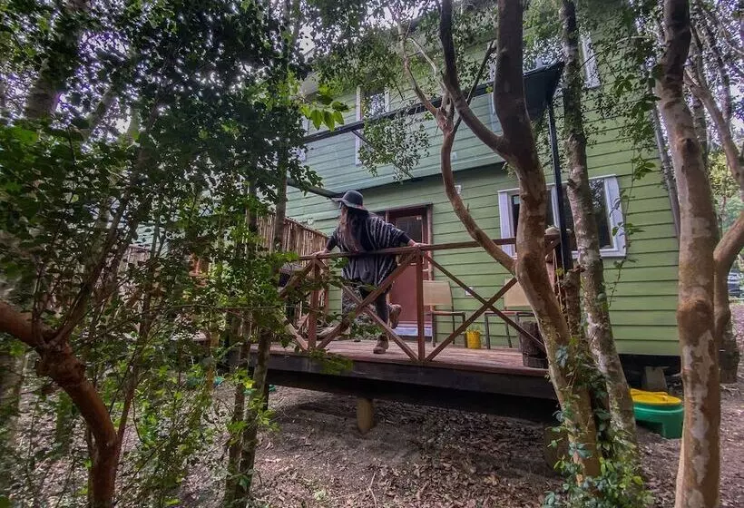 ホテル Cabanas Ensenada Bosque Nativo