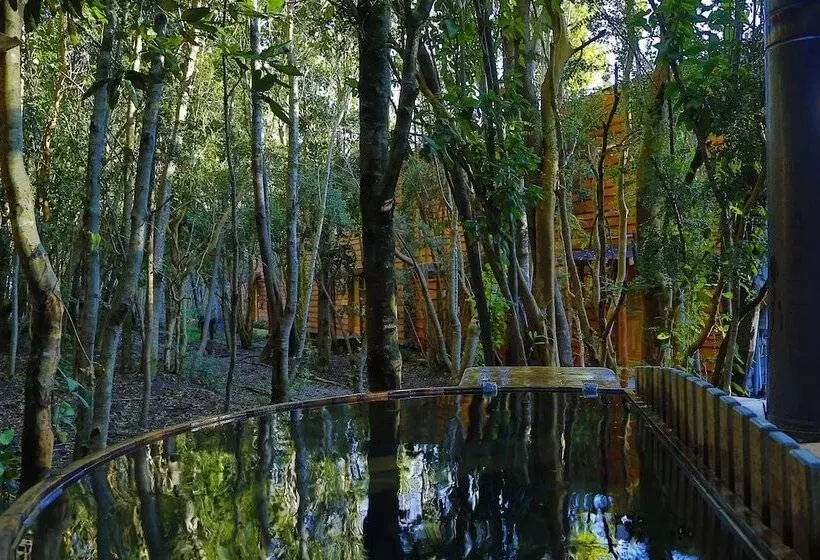 ホテル Cabanas Ensenada Bosque Nativo