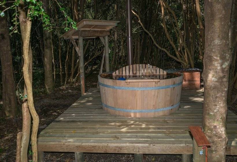 هتل Cabanas Ensenada Bosque Nativo