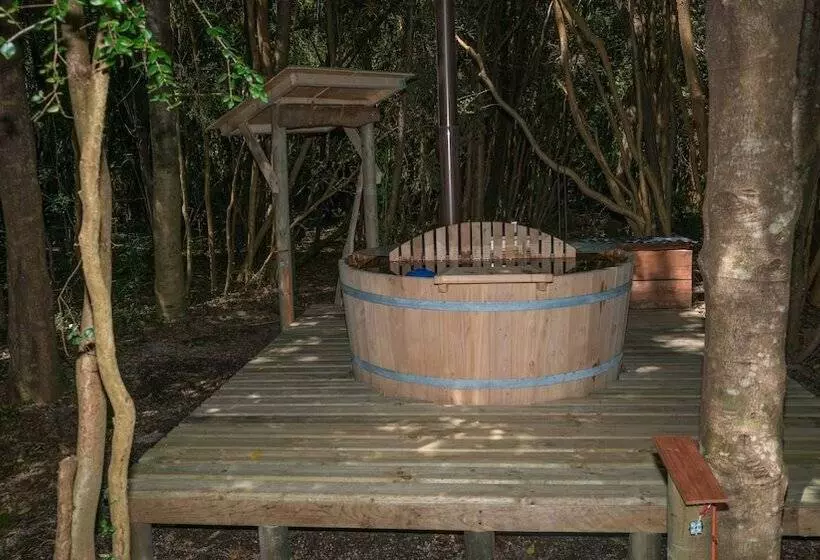 ホテル Cabanas Ensenada Bosque Nativo
