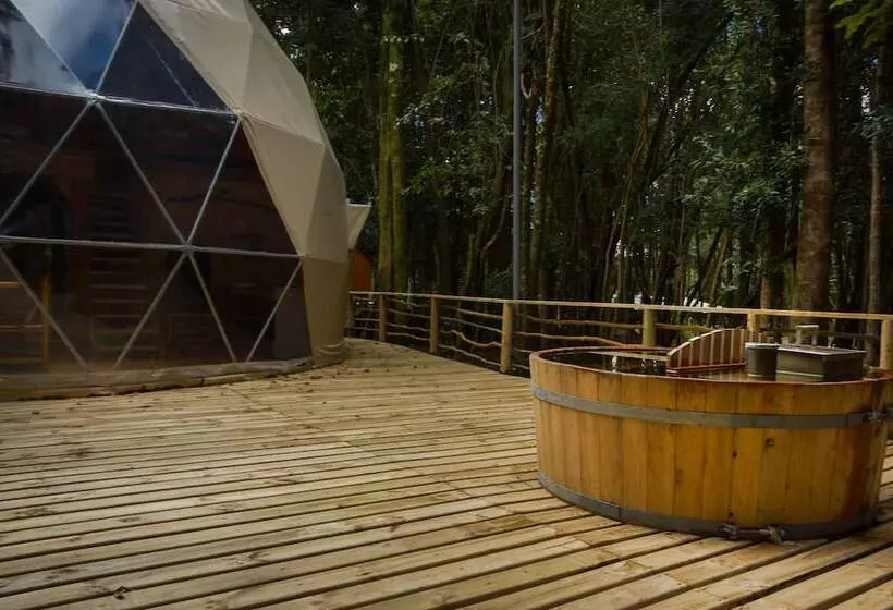 ホテル Cabanas Ensenada Bosque Nativo