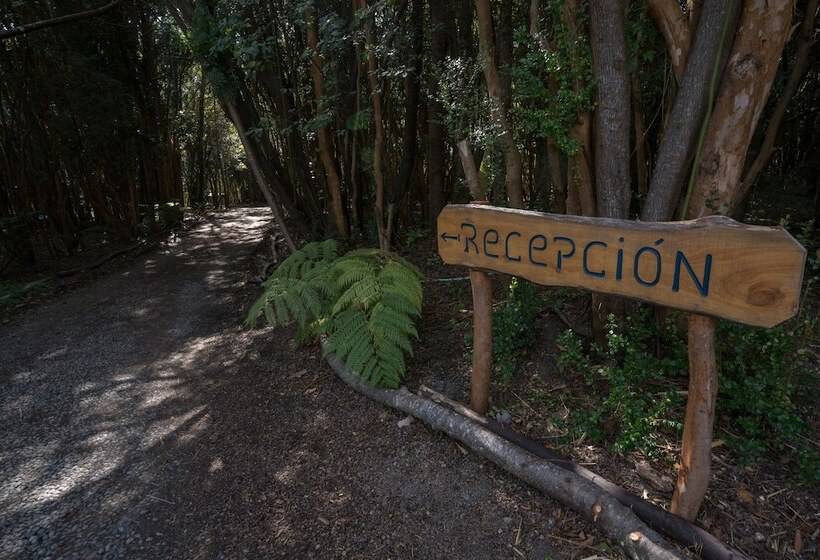 هتل Cabanas Ensenada Bosque Nativo