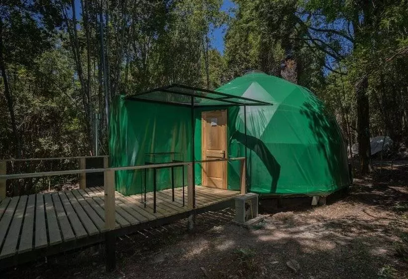 ホテル Cabanas Ensenada Bosque Nativo